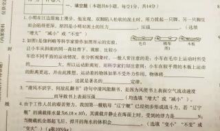 八年级物理教学工作总结