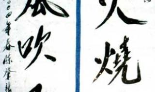野火烧不尽春风吹又生