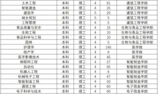河南卫视春晚节目单2023