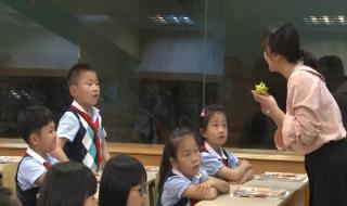 画杨桃告诉我们什么道理