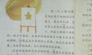 画杨桃告诉我们什么道理