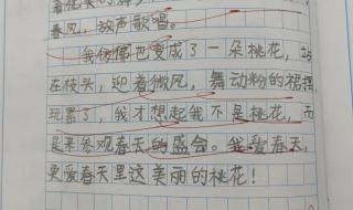 描写植物的作文三年级