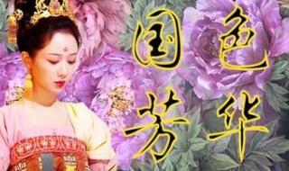 国色芳华40集全免费剧情
